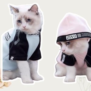 Pet Apparel