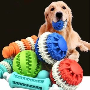 Pet Toys